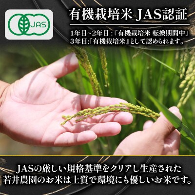 令和7年産 プレミアム米 夢ごこち 2kg 有機JAS認証米 転換期間中WN073