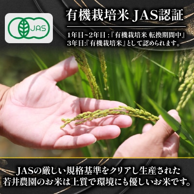 令和7年産 有機JAS認証米 ミルキークイーン 10kg×3袋 WN058