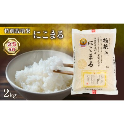 令和7年産 金賞受賞米 にこまる 2kg WN029