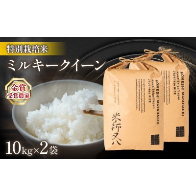 令和7年産 ミルキークイーン 10kg×2袋 金賞受賞農家 若井農園 WN003