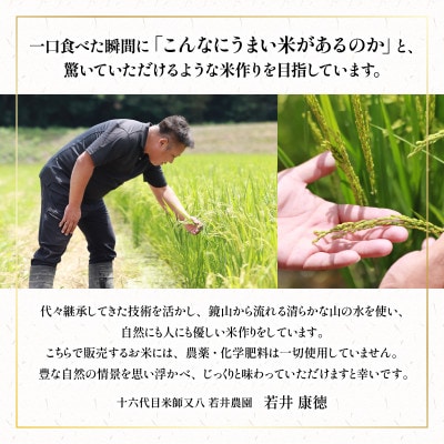 令和7年産 ミルキークイーン 10kg×2袋 金賞受賞農家 若井農園 WN003