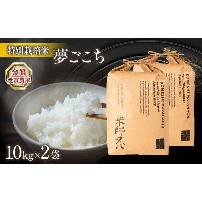 令和7年産 夢ごこち 10kg×2袋 金賞受賞農家 若井農園 WN011