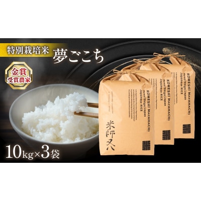 令和7年産 夢ごこち 10kg×3袋 金賞受賞農家 若井農園 WN012