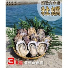 能登穴水の牡蠣(殻付)3kg　加熱調理用