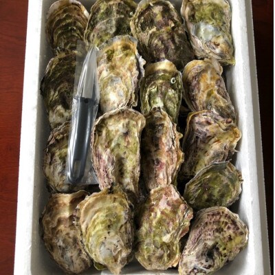 能登穴水の牡蠣(殻付)3kg 加熱調理用 | お礼品詳細 | ふるさと納税なら