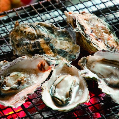 能登穴水の牡蠣(殻付)3kg 加熱用