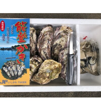 能登穴水の牡蠣(殻付・むき身)セット(殻付12～16個・むき身400g) | お