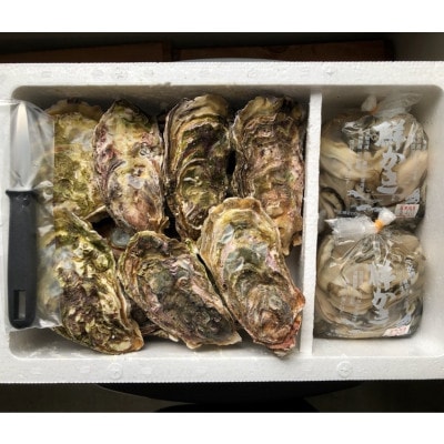 能登穴水の牡蠣(殻付・むき身)セット(殻付12～16個・むき身400g)
