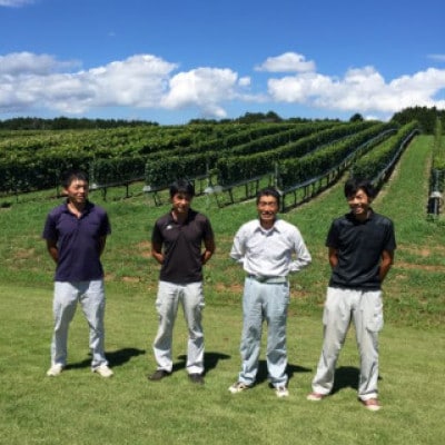 「能登ワイン」スパークリング・ロゼ　720ml