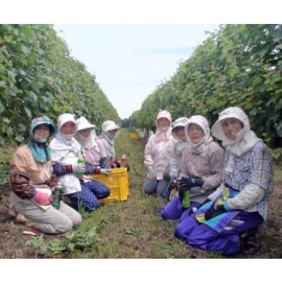 「能登ワイン」スパークリング・ロゼ　720ml