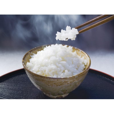 能登棚田米こしひかり 5kg(精米) | 石川県穴水町 | ふるさと納税