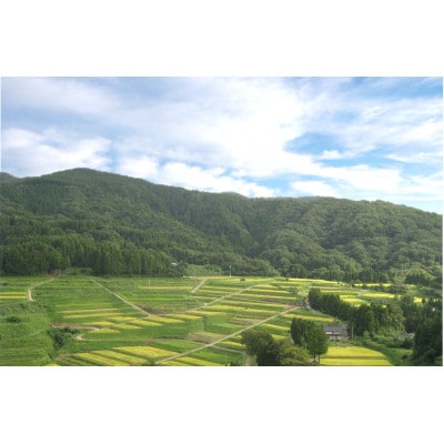 能登棚田米こしひかり 5kg(精米)