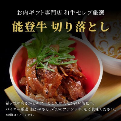 能登牛 切り落とし 250g