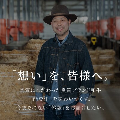 能登牛 切り落とし 250g