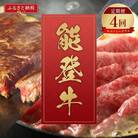 【毎月定期便】【和牛セレブ】能登牛 定期便「エコノミークラス」全4回