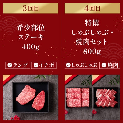 【毎月定期便】【和牛セレブ】能登牛 定期便「エコノミークラス」全4回