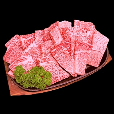 佐賀牛A5焼肉用【厳選部位】(ロース肉・モモ肉・ウデ肉・バラ肉)400g