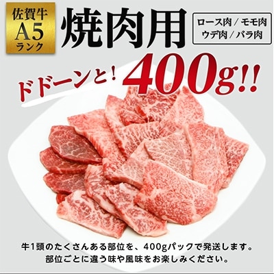 【2024年5月中旬発送】佐賀牛A5焼肉用【厳選部位】(ロース肉・モモ肉・ウデ肉・バラ肉)400g