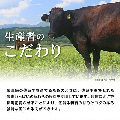 佐賀牛　切り落とし2kg(500gx4P)