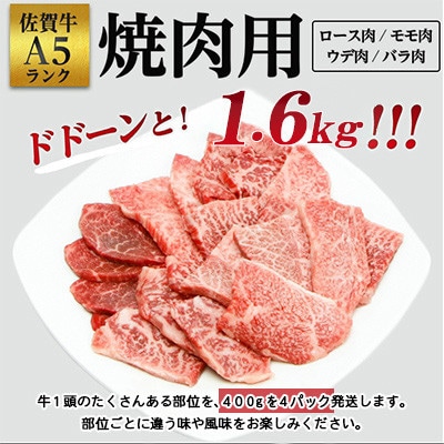 佐賀牛A5焼肉用【厳選部位】(ロース肉・モモ肉・ウデ肉・バラ肉)1.6kg(400g×4p)嬉野市