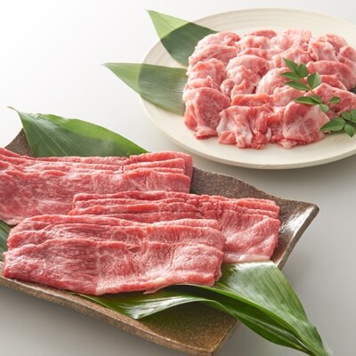 2020年11月発送開始『定期便』A4~5ランク 総重量1.8kg 佐賀牛満喫セット全3回