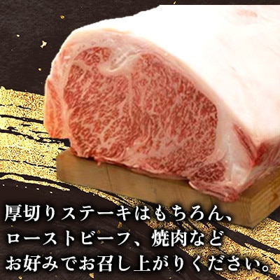 【一ノ瀬畜産 厳選】佐賀和牛ロース 1kgブロック