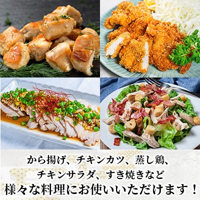 ありたどり むね肉 計3.1kg