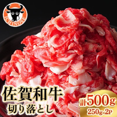 佐賀和牛 切り落とし 計500g(250g×2p)