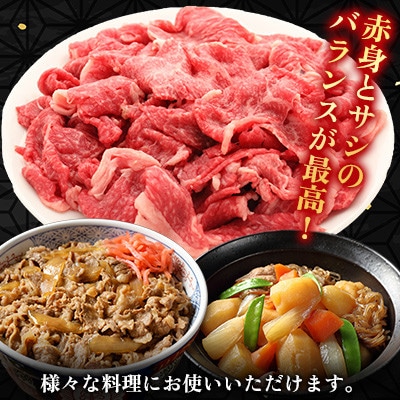 佐賀和牛 切り落とし 計500g(250g×2p)