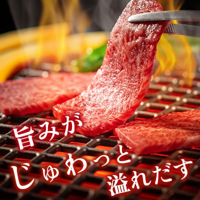 佐賀牛 肩ロース 焼肉用 計500g(250g×2p)