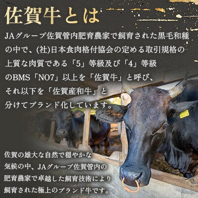 【毎月定期便】佐賀牛 切り落とし (小間切) 900g (300g×3)全12回