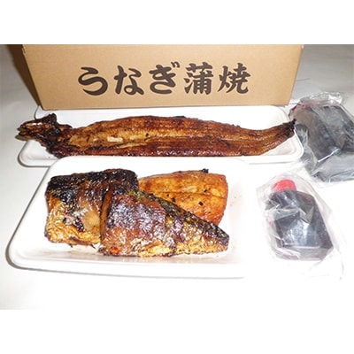 手焼き炭火焼鰻蒲焼1尾&サバ照り焼き3切れセット