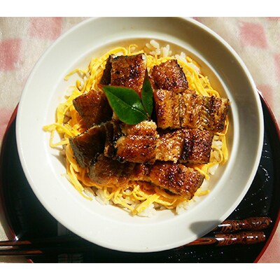 【毎月定期便】手焼き炭火焼きうなぎ蒲焼 (1尾・タレ付き)全6回