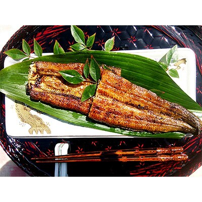【毎月定期便】手焼き炭火焼きうなぎ蒲焼 (2尾・タレ付き)全12回