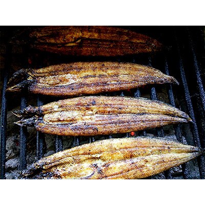 【毎月定期便】手焼き炭火焼きうなぎ蒲焼 (2尾・タレ付き)全12回