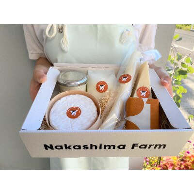 【毎月定期便】ナカシマファームのおまかせチーズ&チーズスイーツセット※6種入り 全6回