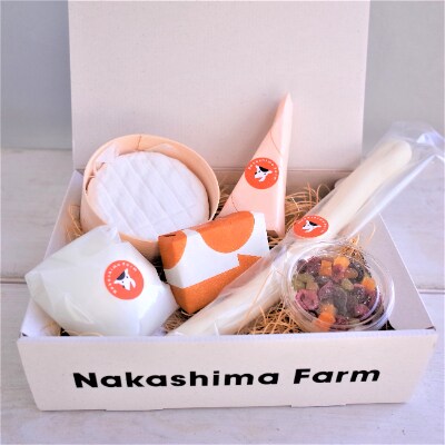【毎月定期便】ナカシマファームのできたてチーズセット(6種入り) 全3回