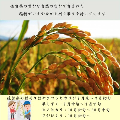 【熟成すいしゃ米】佐賀県産銘柄米3合(450g)9個セット(さがびより・夢しずく・ヒノヒカリ)