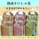 【熟成すいしゃ米】佐賀県産銘柄米1kg×9個セット(さがびより・夢しずく・ヒノヒカリ)