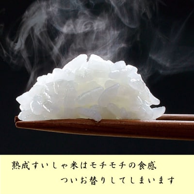 【熟成すいしゃ米】佐賀県産熟成水車米さがびより5Kg