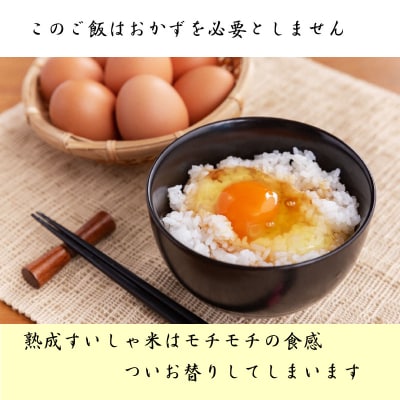 【熟成すいしゃ米】佐賀県産ヒノヒカリ10kg(5kg×2袋)