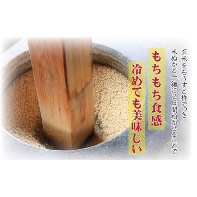 【毎月定期便】熟成すいしゃ米 佐賀県産さがびより 5kg 全12回