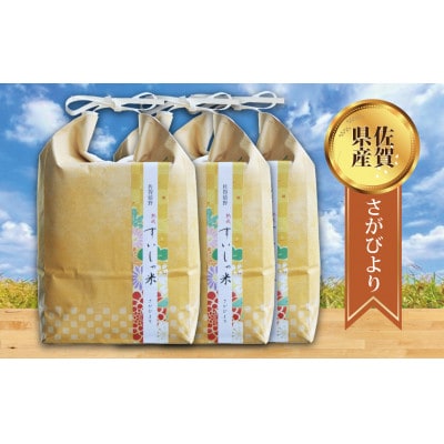 【毎月定期便】熟成すいしゃ米 佐賀県産 さがびより15Kg全6回