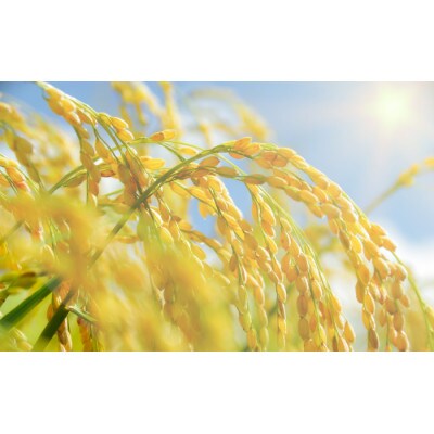 【毎月定期便】熟成すいしゃ米 佐賀県産 さがびより15Kg全3回