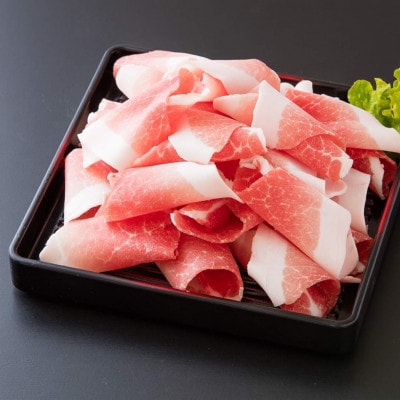 【毎月定期便】肥前有明豚 切り落とし1.6kg・粗挽きミンチ1.4kgセット全3回