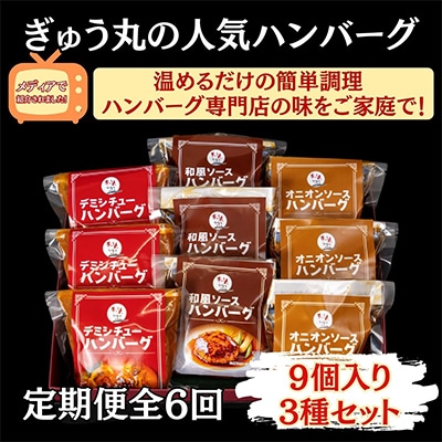 【毎月定期便】ぎゅう丸ハンバーグセット全6回