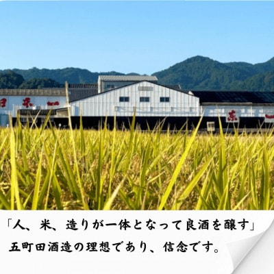 東一 純米酒 山田錦純米酒 山田錦特別純米酒 720ml 3本