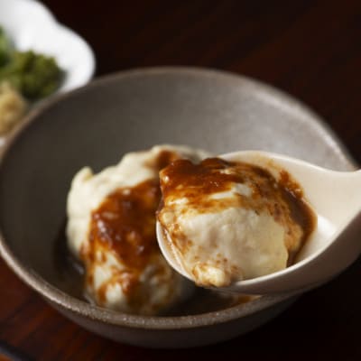 嬉野温泉湯どうふ2丁、生ゆばセット