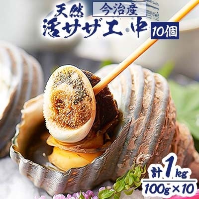 【B6】今治産 天然活サザエ(中)