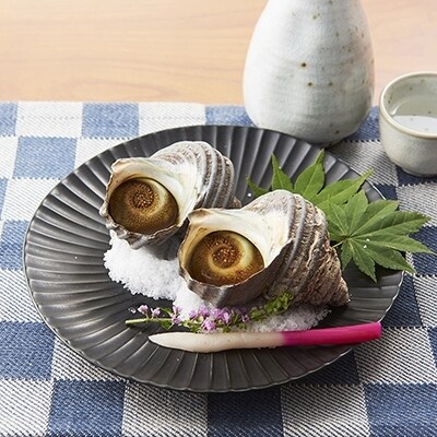【B6】今治産 天然活サザエ(中)